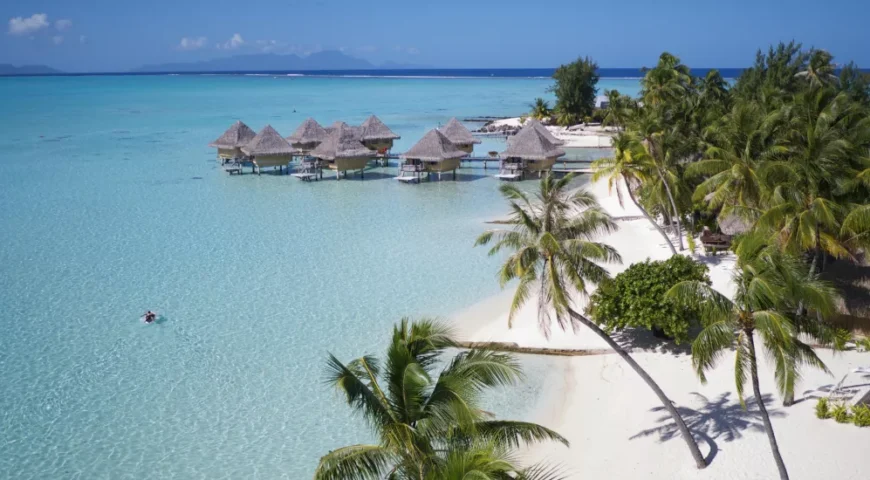 unnamed(836)