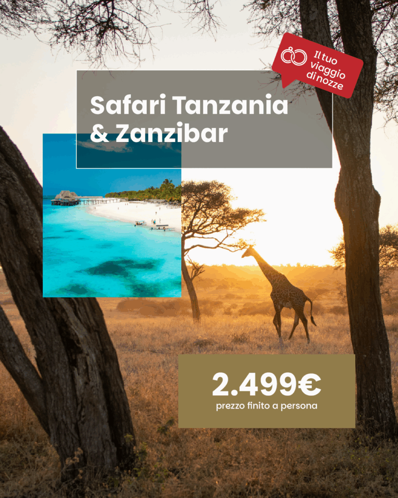 Safari & Zanzibar